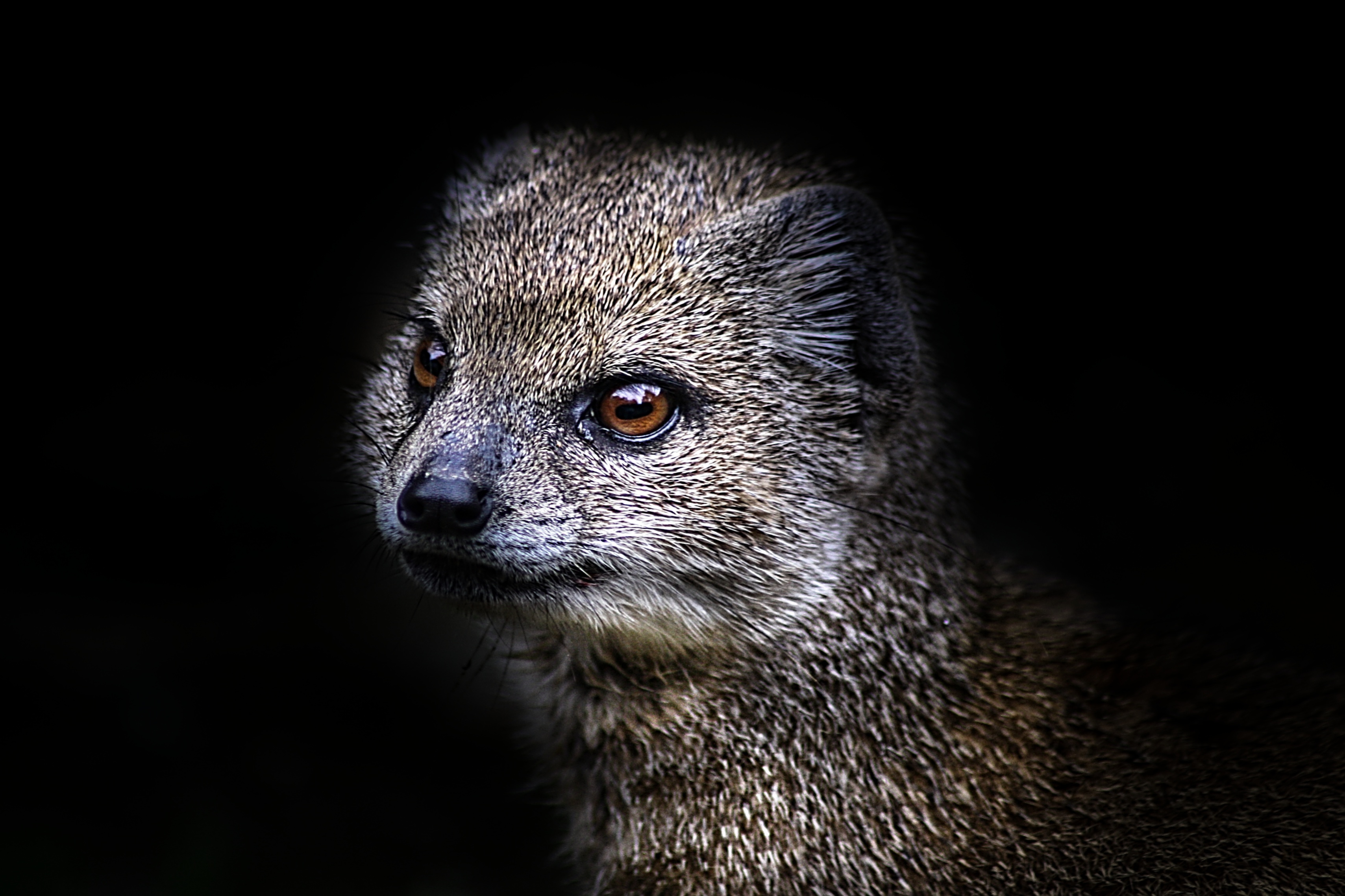 IMG_7571 zoo